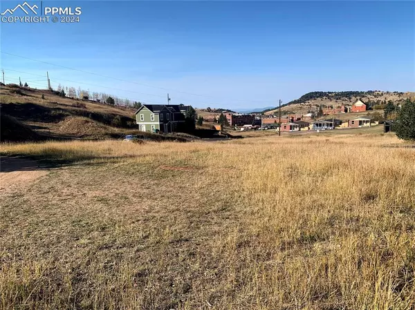 Cripple Creek, CO 80813,703 Lode ST