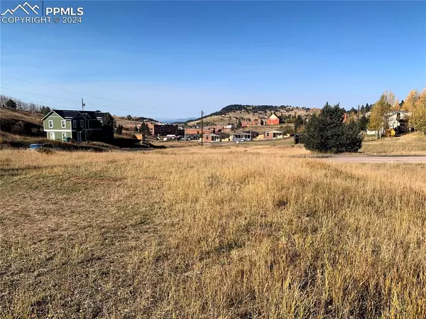 Cripple Creek, CO 80813,703 Lode ST