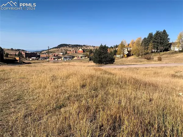 Cripple Creek, CO 80813,703 Lode ST