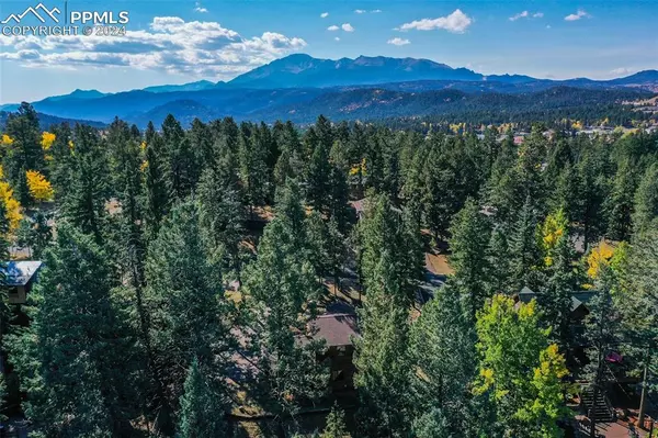 Woodland Park, CO 80863,250 E Gunnison AVE