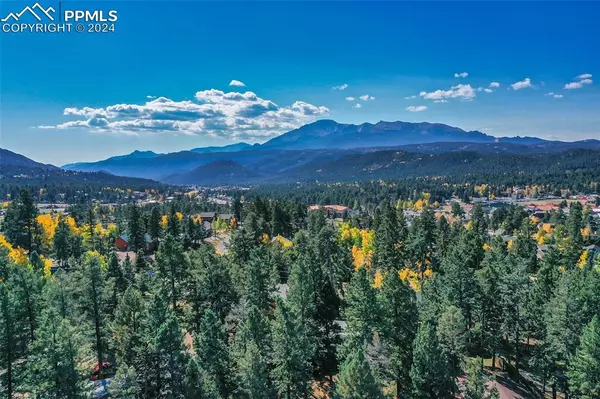 Woodland Park, CO 80863,250 E Gunnison AVE