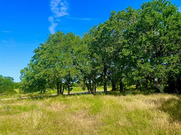 Poolville, TX 76487,Lot 55 KILKENNY Road