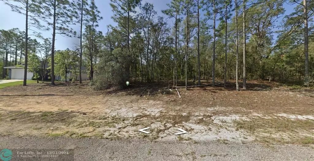 Dunnellon, FL 34434,602 E Nemo Dr