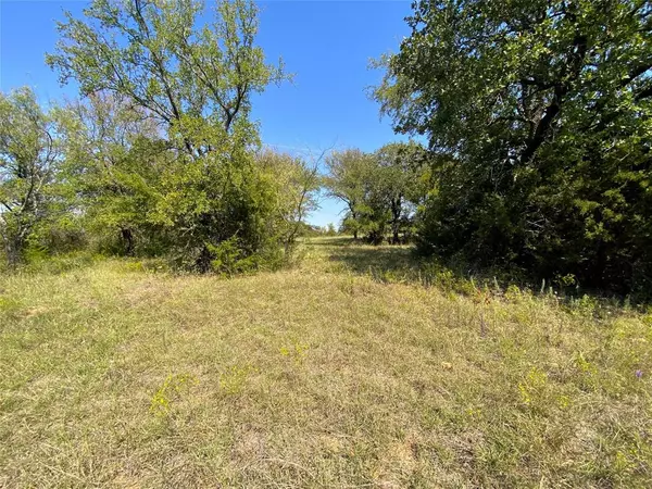 Chico, TX 76431,15 acres CR-1650