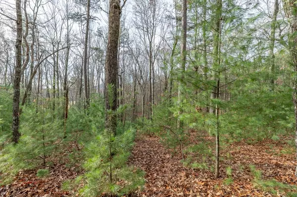 Blairsville, GA 30512,Lot 44 Sharp Top