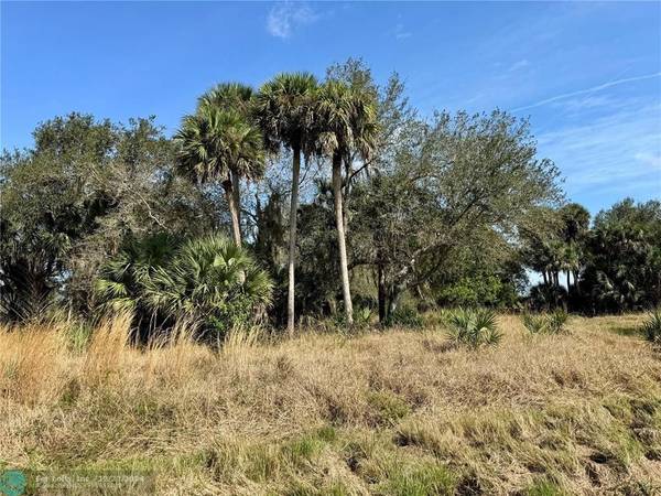 Clewiston, FL 33440,tbd Off Hill Grade Rd