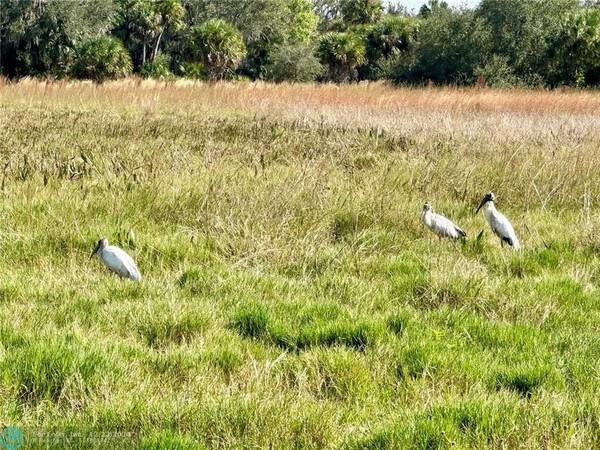 Clewiston, FL 33440,tbd Off Hill Grade Rd