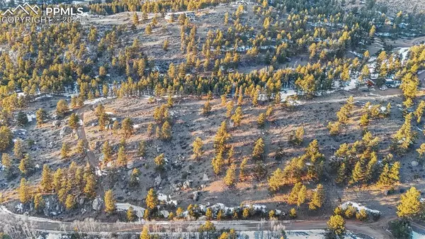 Florissant, CO 80816,189 Navajo TRL