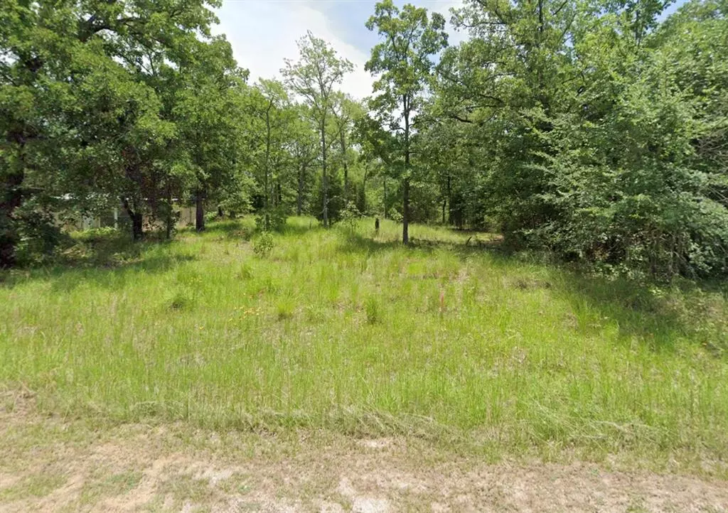 Log Cabin, TX 75148,0 San Jacinto Dr