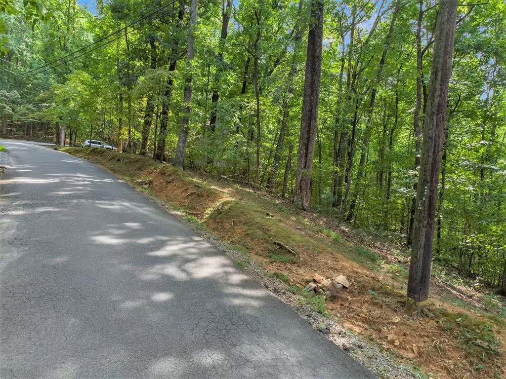 Ellijay, GA 30536,M100 Skyview Drive