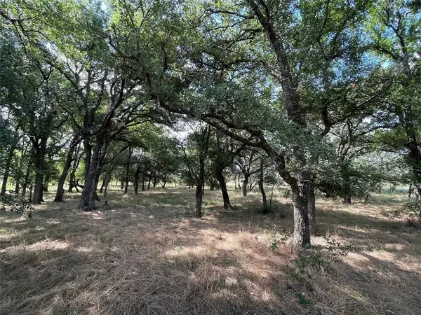 Perrin, TX 76486,TBD Hwy 281