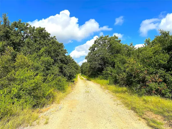 Perrin, TX 76486,TBD Hwy 281