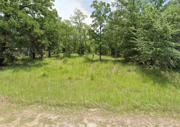 0 San Jacinto Dr, Log Cabin, TX 75148