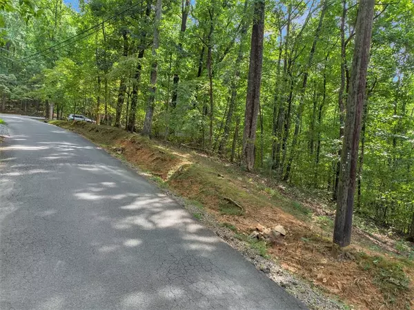 M100 Skyview Drive, Ellijay, GA 30536