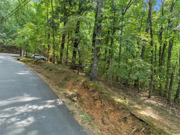 Ellijay, GA 30536,M100 Skyview Drive