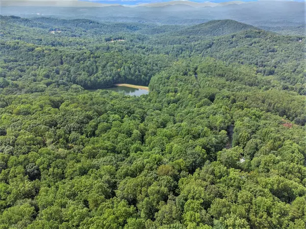 Ellijay, GA 30536,M100 Skyview Drive