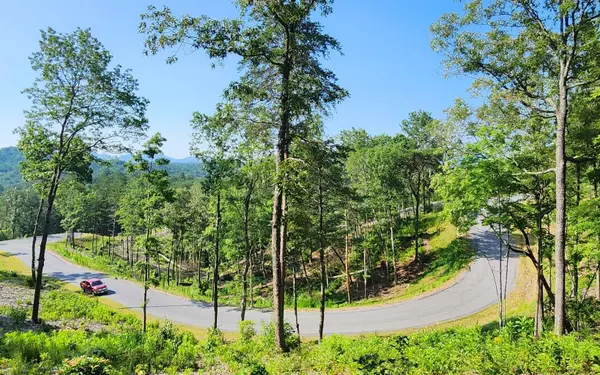 LOT 6 Mountain Laurel Ridge, Mineral Bluff, GA 30559