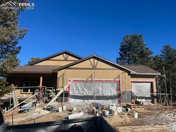 Woodland Park, CO 80863,620 Misty Pines CIR