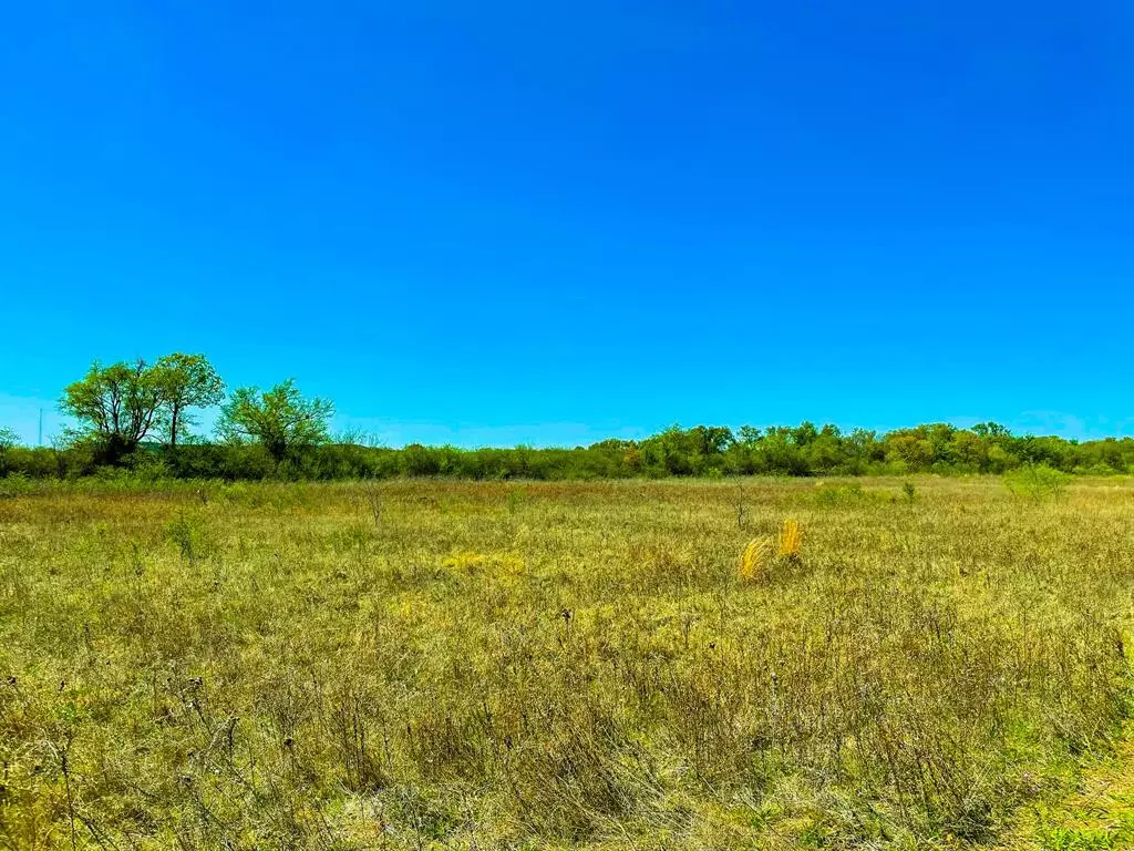 Carbon, TX 76435,TBD Co Rd 228