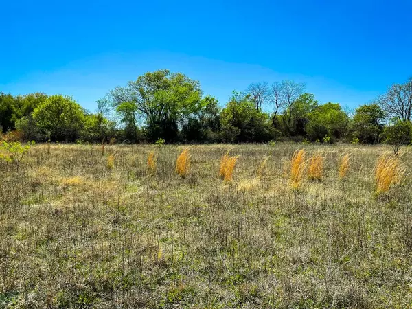 Carbon, TX 76435,TBD Co Rd 228