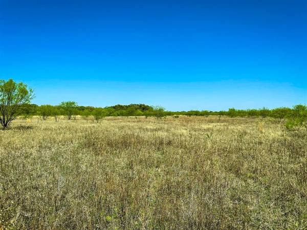 Carbon, TX 76435,TBD Co Rd 228