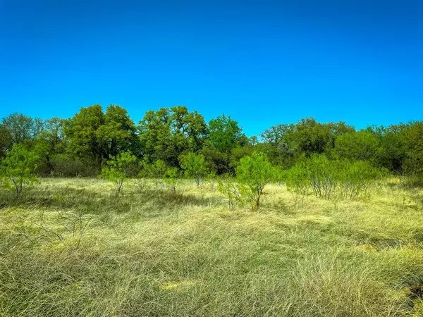 Carbon, TX 76435,TBD Co Rd 228