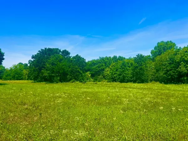 Lot 103 Arlow Rd, Poolville, TX 76487