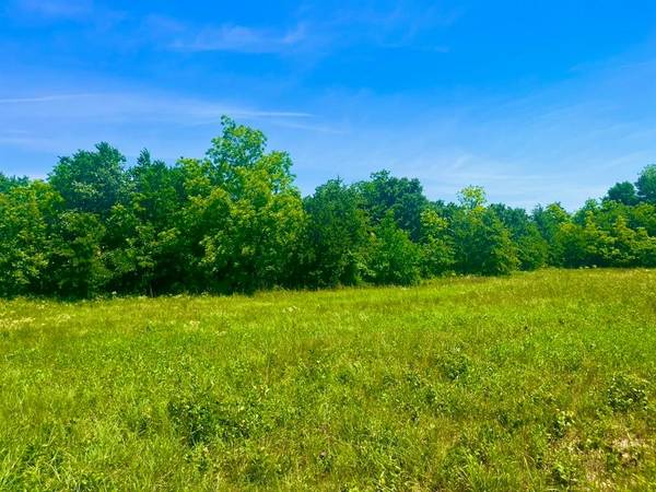 Poolville, TX 76487,Lot 103 Arlow Rd