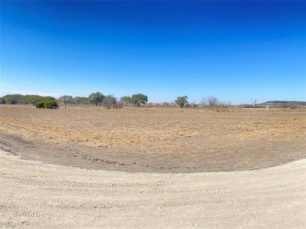 Jonesboro, TX 76538,TBD FM 1602 Tract 4