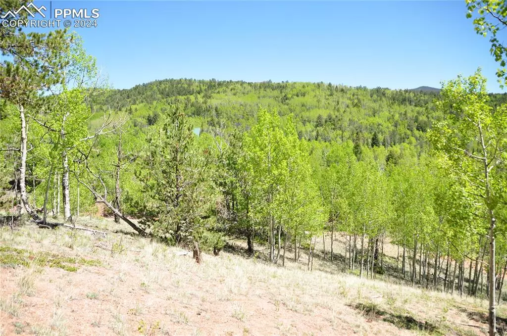 Cripple Creek, CO 80813,81 Strong CT