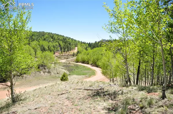 Cripple Creek, CO 80813,81 Strong CT