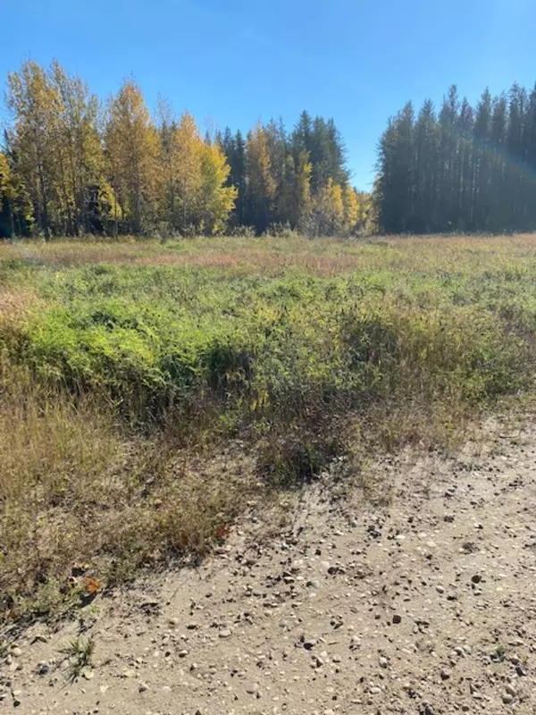 Whitecourt, AB T7S 0E5,Lot 32 Flats Road RD