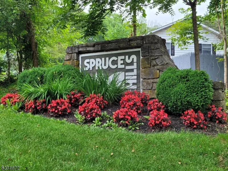 816 Spruce Hills Dr #816, Glen Gardner Boro, NJ 08826