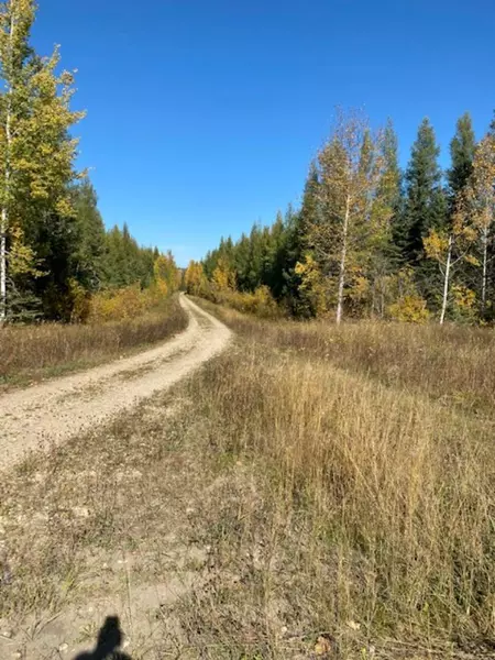 Lot 32 Flats Road RD, Whitecourt, AB T7S 0E5