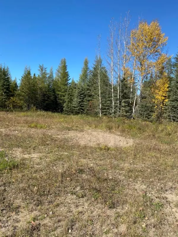 Whitecourt, AB T7S 0E5,Lot 32 Flats Road RD