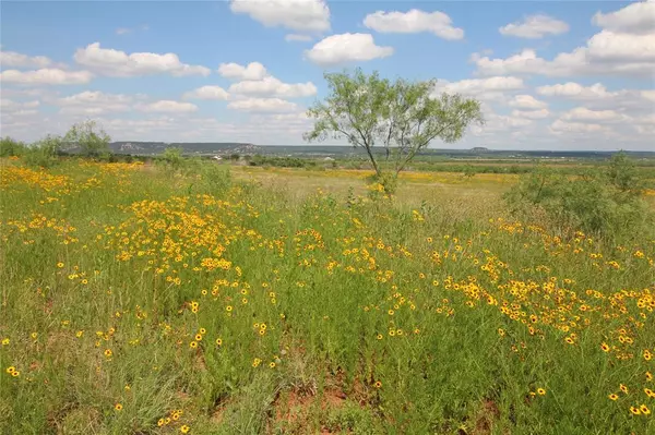 Tuscola, TX 79562,Lot 2 Marshal Trail