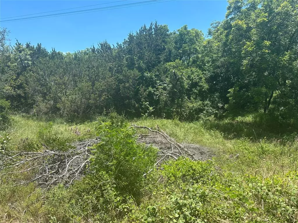 Bluff Dale, TX 76433,TBD Peninsula Drive