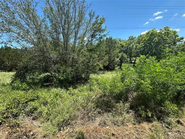 Bluff Dale, TX 76433,TBD Peninsula Drive