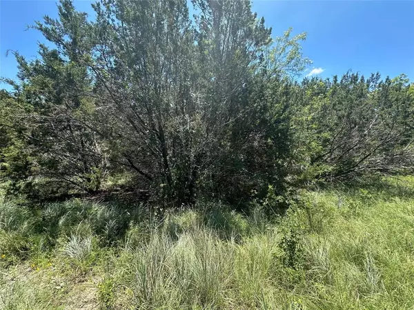 Bluff Dale, TX 76433,TBD Peninsula Drive