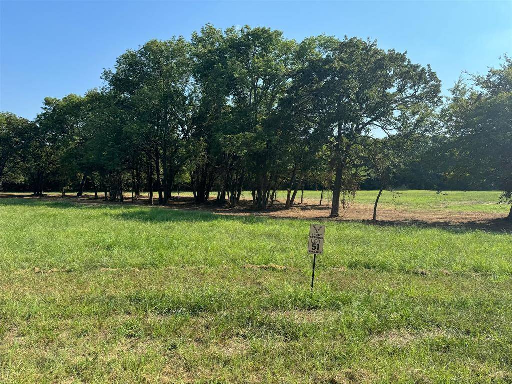 Pottsboro, TX 75076,Lot 51 Spout Springs Road