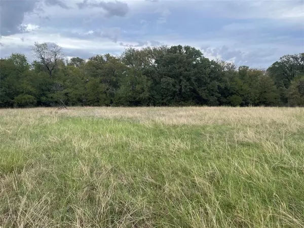 Tbd Beardn Lane, Mingus, TX 76453