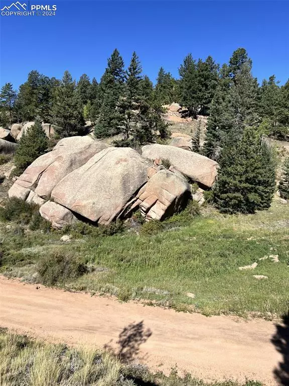 Florissant, CO 80816,830 Pinon LN