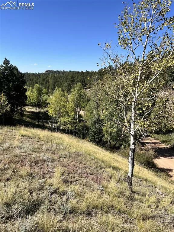 Florissant, CO 80816,830 Pinon LN