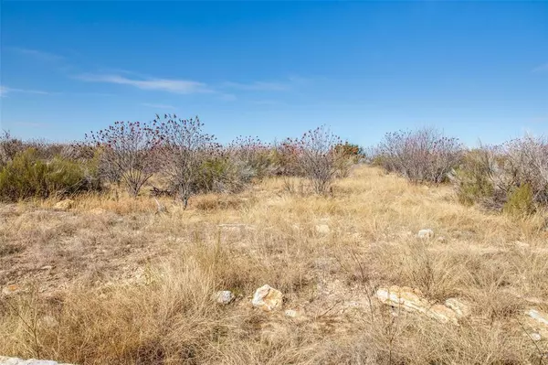 Possum Kingdom Lake, TX 76458,TBD LOT #45 Rawhide Ridge