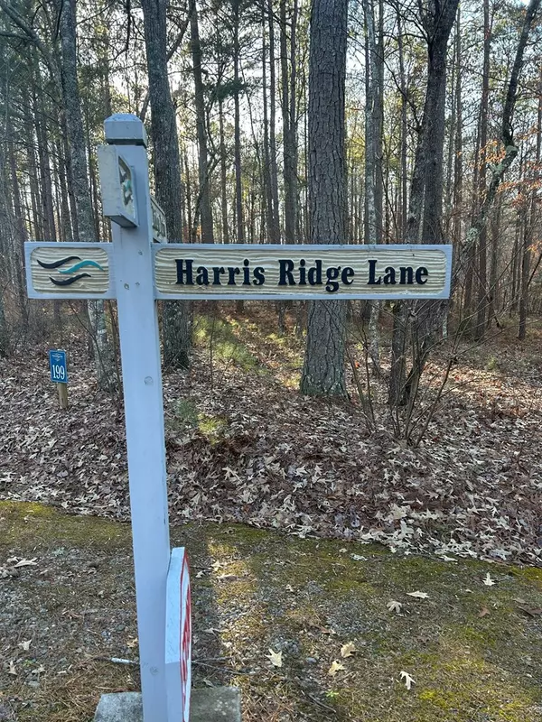 Ellijay, GA 30540,193,194 Harris Ridge Lane