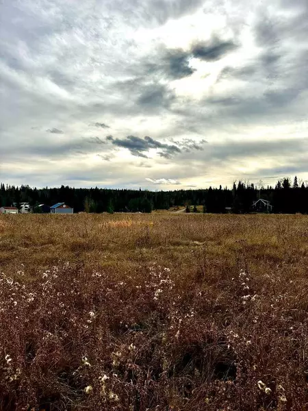 120 James River LNDG #Lot 35, Rural Clearwater County, AB T0M1C0