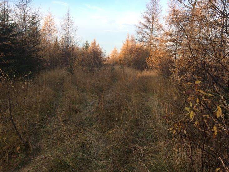 Address Not Disclosed