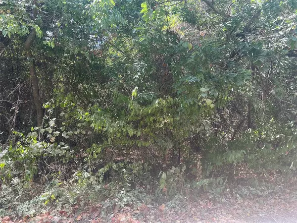 Lot 97 Westwood Drive, Trinidad, TX 75163