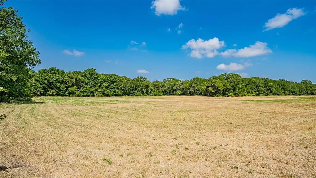 Azle, TX 76020,TBD #3 Briar Road