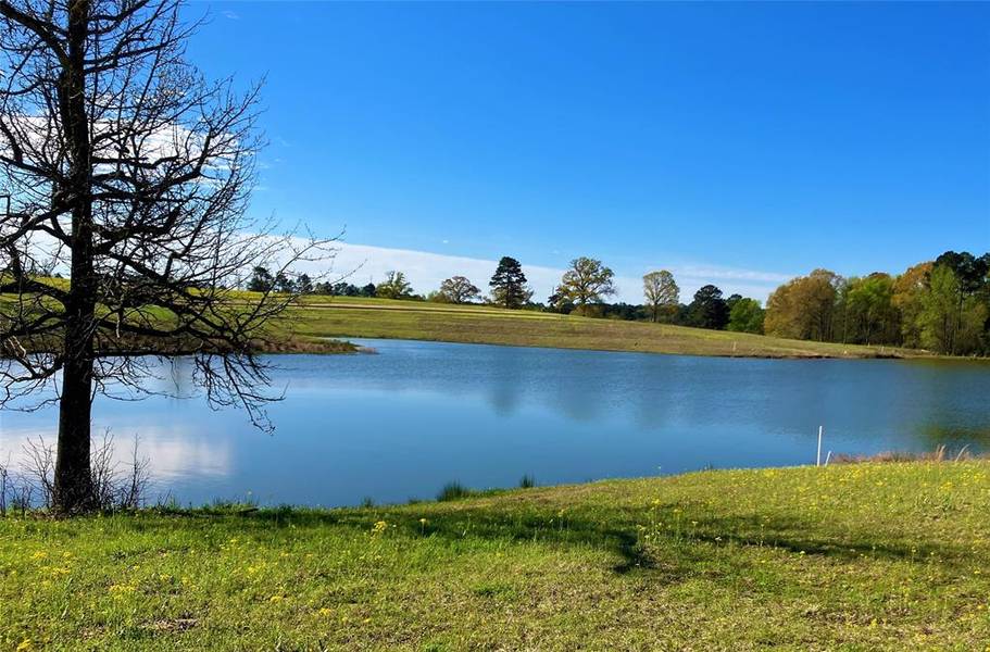 Lot 49 White Oak, Big Sandy, TX 75755